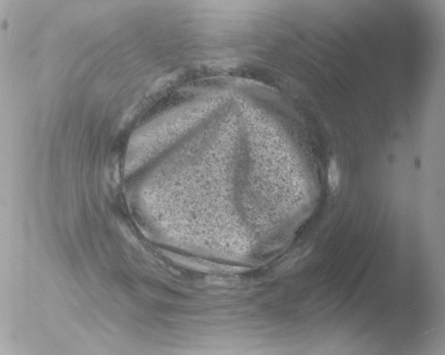 X0000051891299200507151928