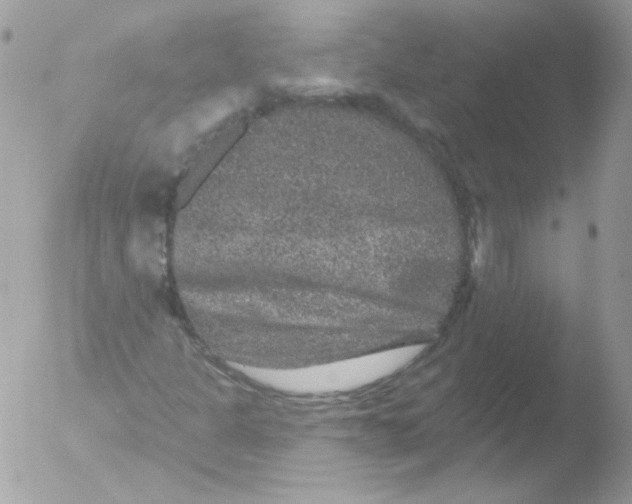 X0000051891301200507151928