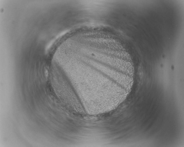 X0000051891302200507151928