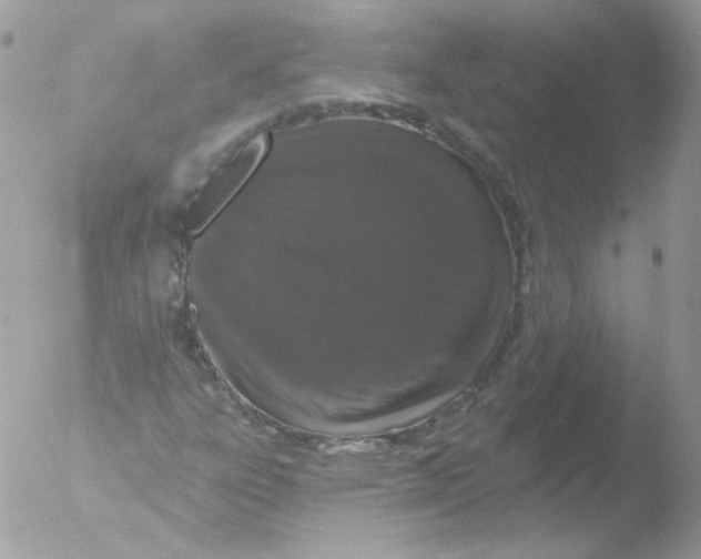 X0000051891303200507151928