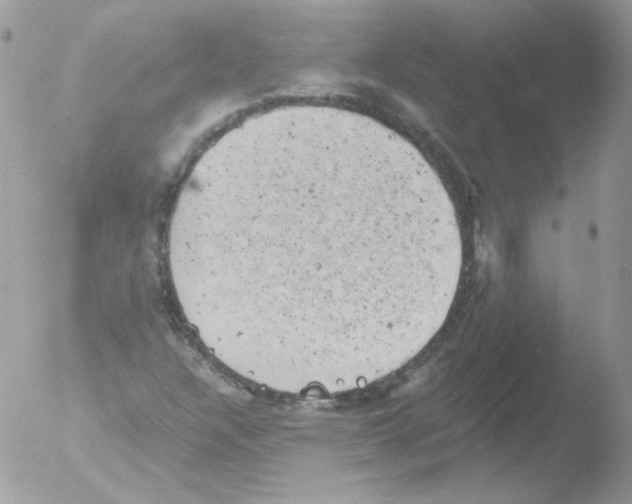 X0000051891304200507151928