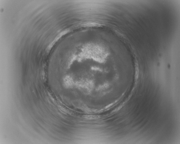 X0000051891305200507151928