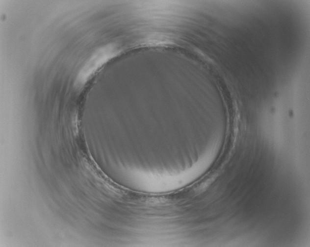 X0000051891306200507151928