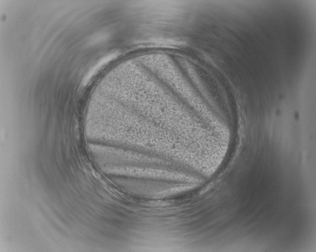 X0000051891307200507151928