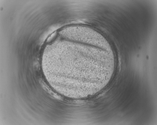 X0000051891308200507151928