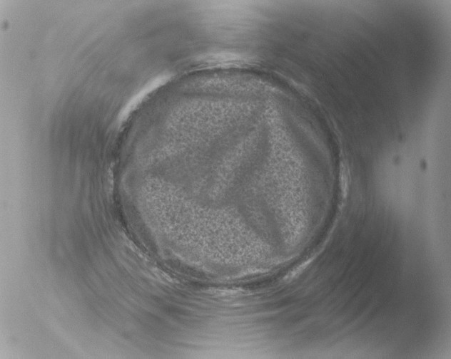 X0000051891309200507151928