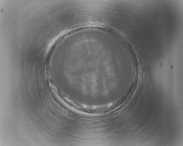 X0000051891310200507151928