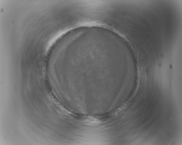 X0000051891311200507151928