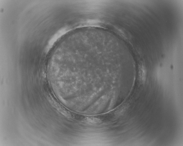 X0000051891312200507151928