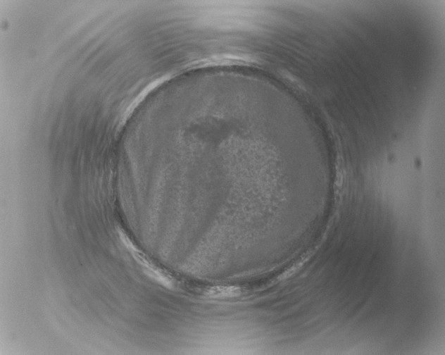 X0000051891313200507151928