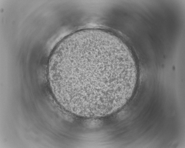 X0000051891314200507151928