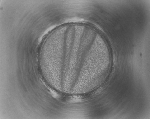 X0000051891315200507151928