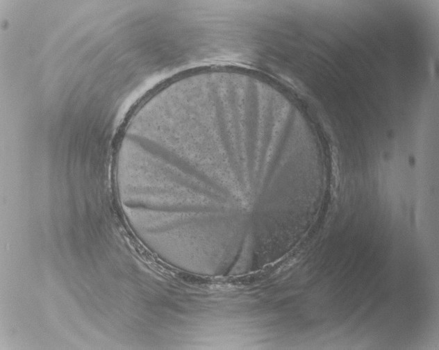 X0000051891316200507151928