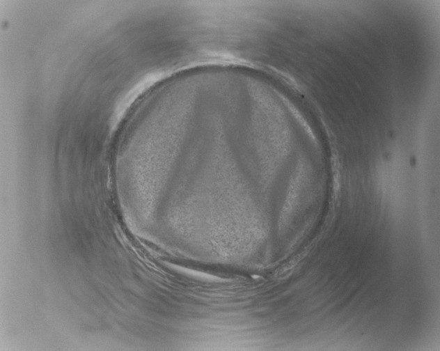 X0000051891318200507151928