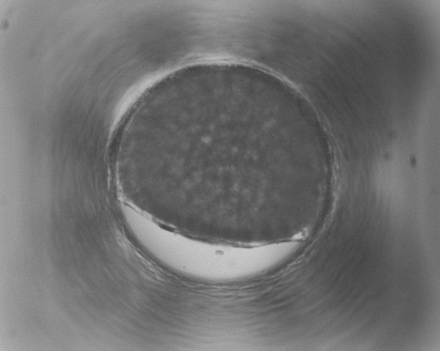 X0000051891319200507151928