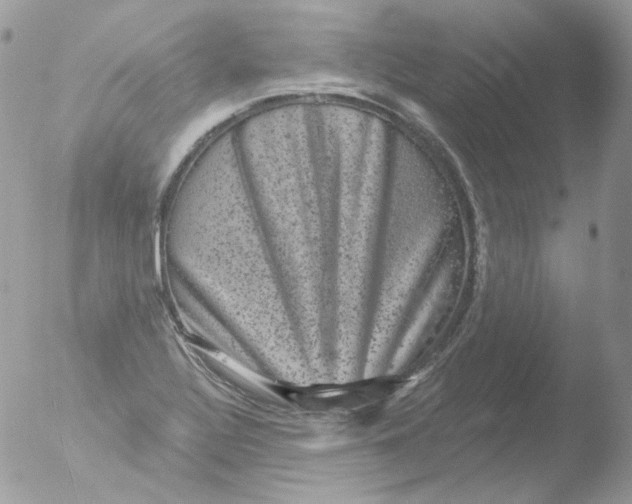 X0000051891320200507151928