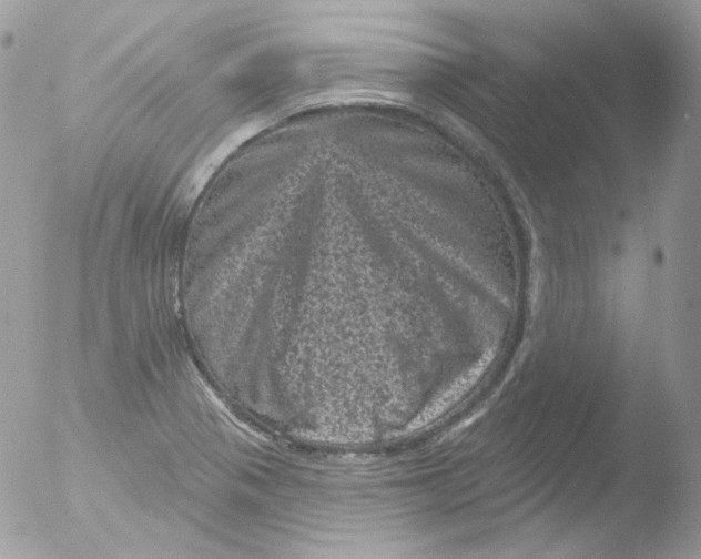 X0000051891321200507151928