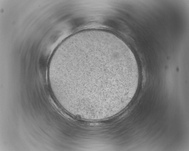 X0000051891322200507151928