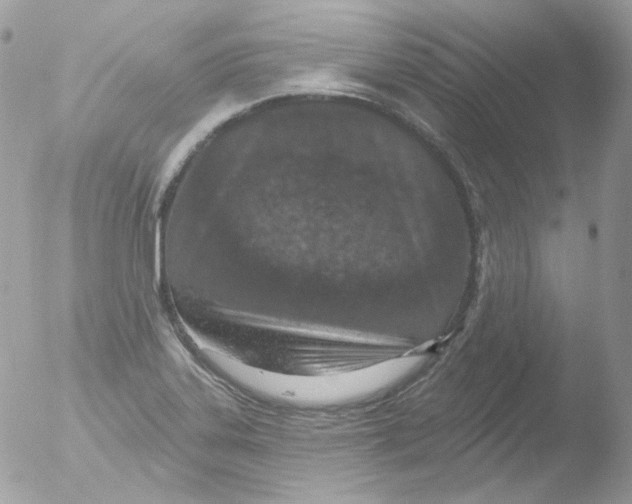 X0000051891323200507151928