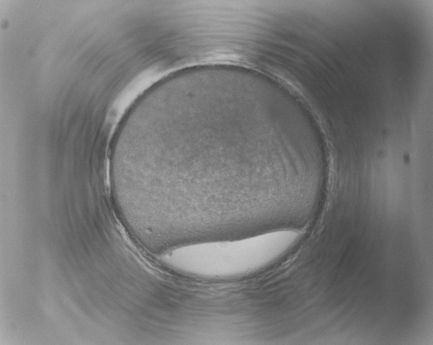 X0000051891324200507151928