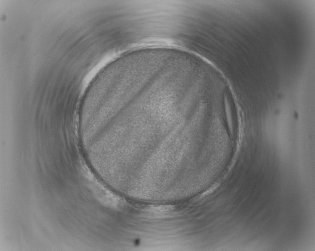 X0000051891325200507151928