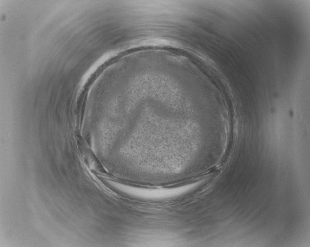 X0000051891326200507151928