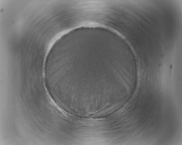 X0000051891327200507151928