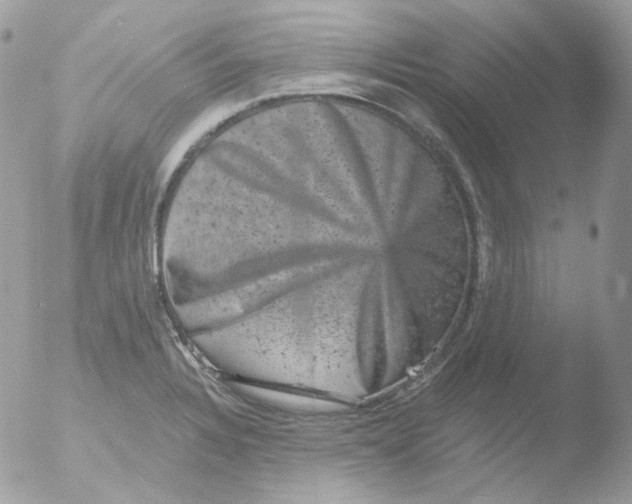 X0000051891328200507151928