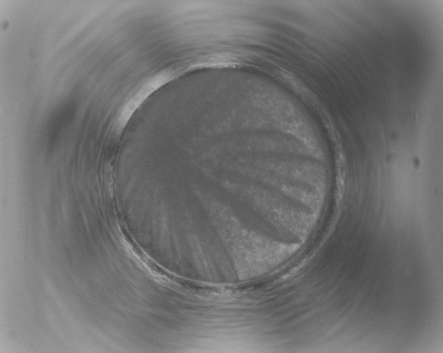 X0000051891329200507151928