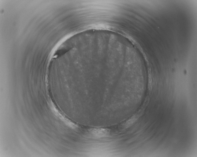 X0000051891331200507151928