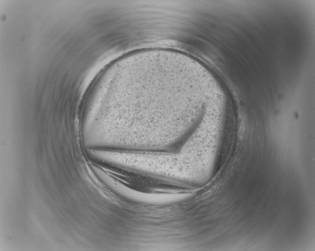 X0000051891332200507151928