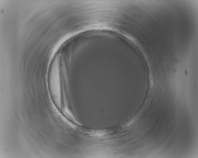 X0000051891334200507151928