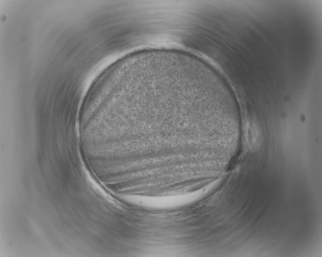 X0000051891335200507151928