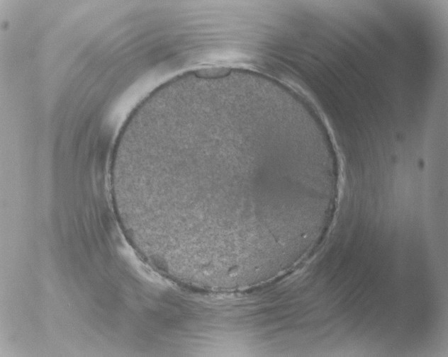 X0000051891336200507151928