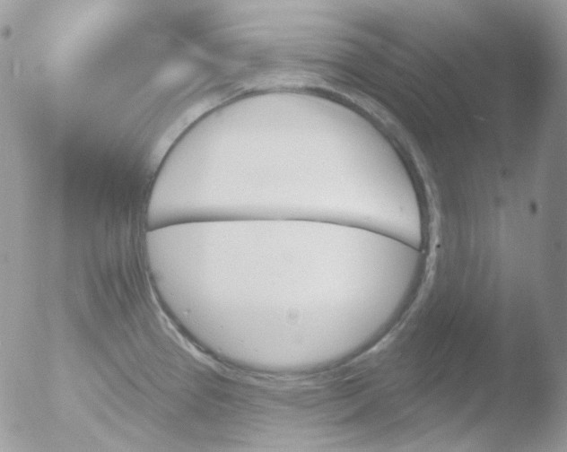 X0000051891337200507151928