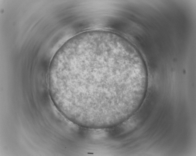 X0000051891338200507151928