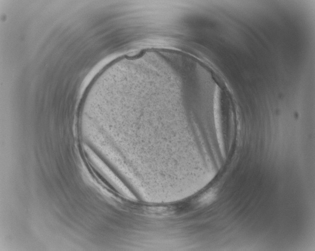 X0000051891339200507151929