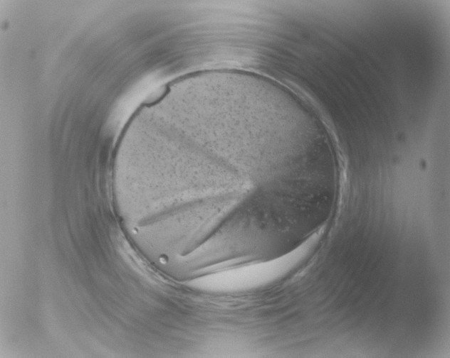 X0000051891340200507151929