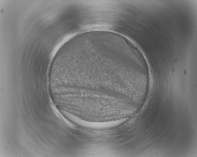 X0000051891341200507151929