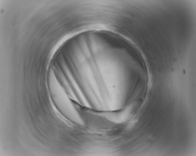 X0000051891342200507151929