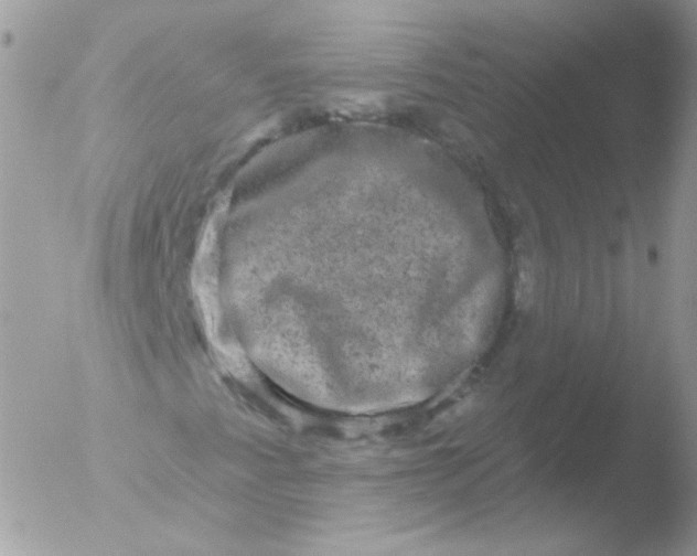 X0000051891345200507151928