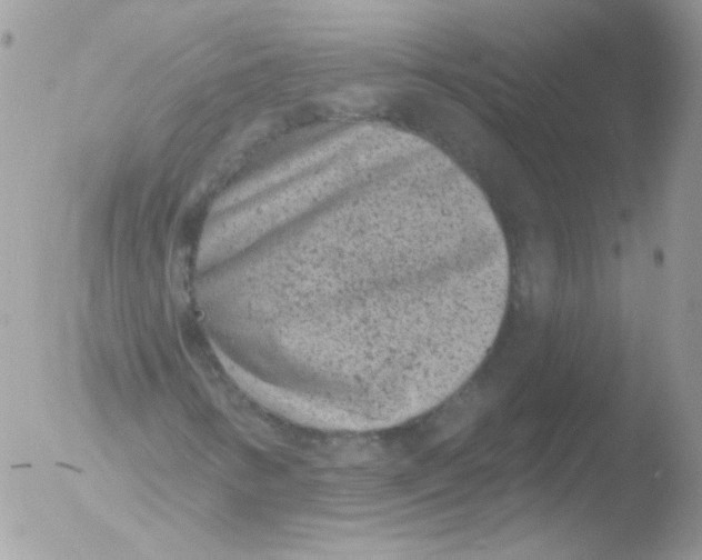 X0000051891346200507151928