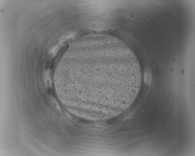 X0000051891347200507151928