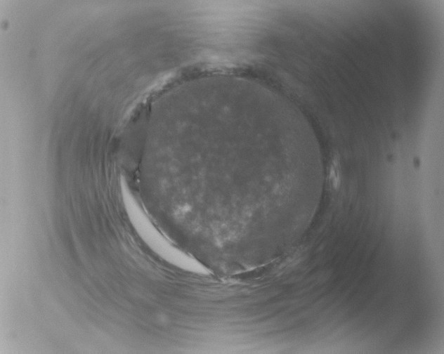 X0000051891348200507151928