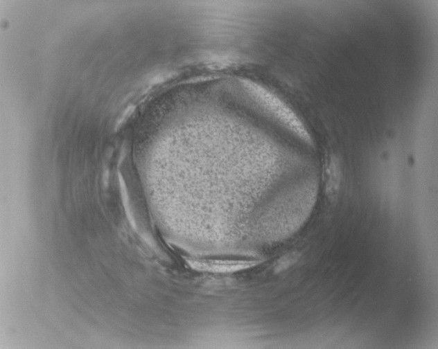 X0000051891349200507151928