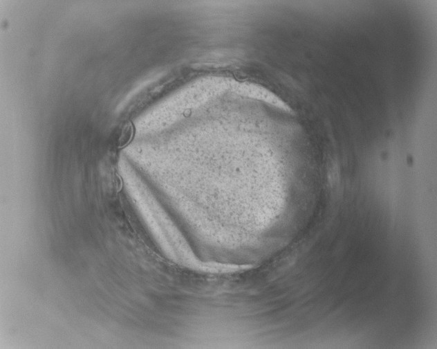 X0000051891350200507151928