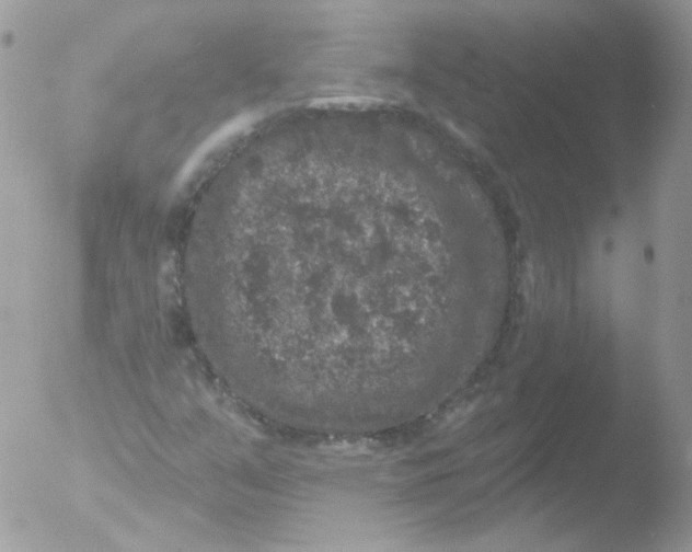 X0000051891351200507151928