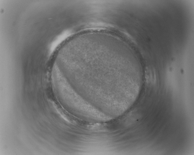 X0000051891352200507151928