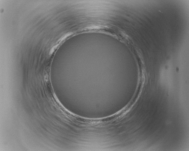 X0000051891353200507151928