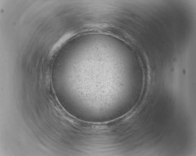 X0000051891354200507151928